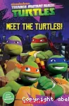 Meet the turtles!