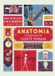 Anatomia