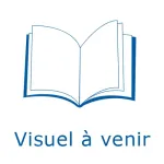 Dictionnaire des auteurs / tome IV de Qab à Zwi