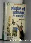 Plantes et animaux des montagnes