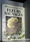 Fleurs sauvages