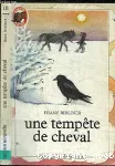 Une tempête de cheval