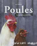 Poules, somptueuses volailles