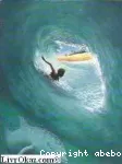 L'homme des vagues