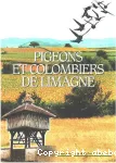 Pigeons et colombiers de Limagne