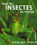 Tous les insectes