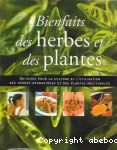 Bienfaits des herbes et des plantes