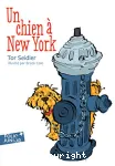 Un chien à New York